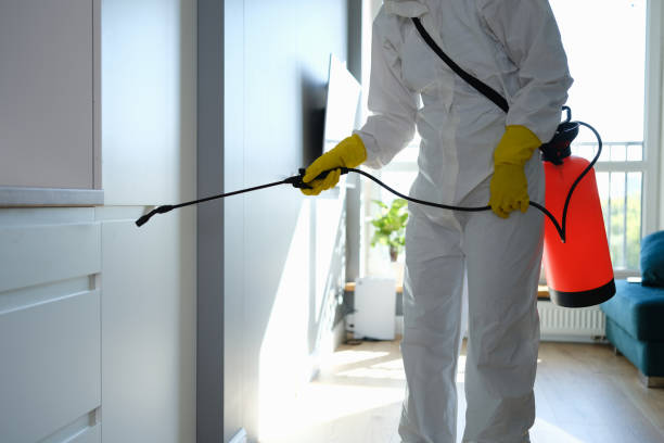Crawl Space Mold Removal in Wyndmoor, PA